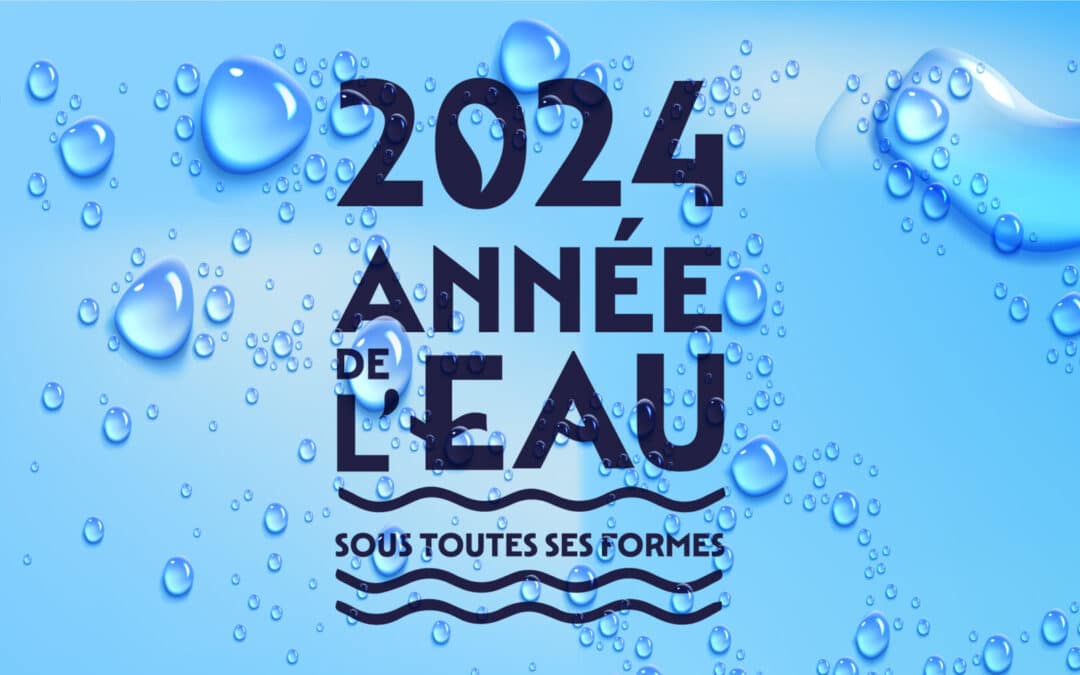 Année de l’eau