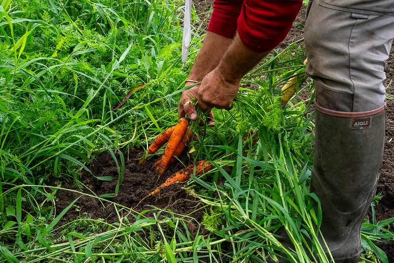Participez au débat sur l’accès à l’alimentation en Europe