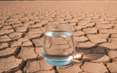 Il est urgent de protéger l’eau